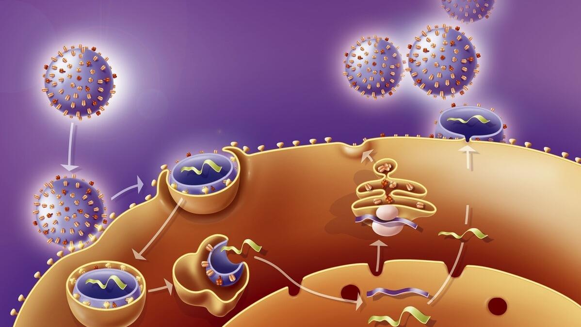 拉稀也会得痔疮,拉稀久了长痔疮怎么办