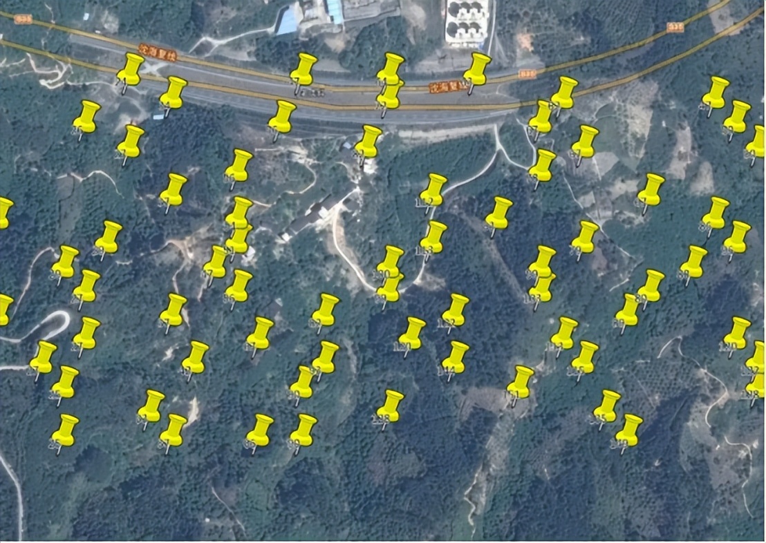 禁用谷歌的国家有哪些,禁用谷歌会有什么影响