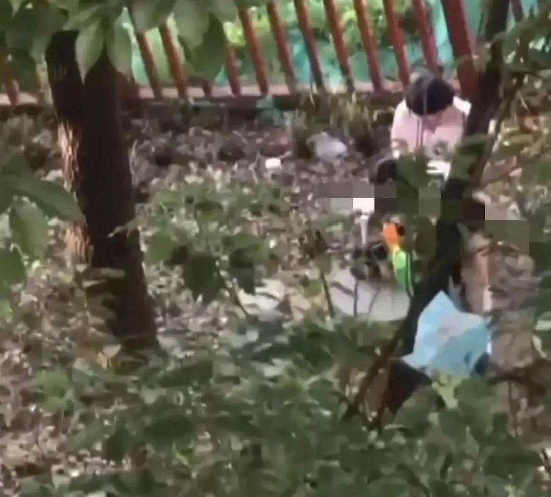 辽宁理工校园事件,辽宁理工学院事件最新消息