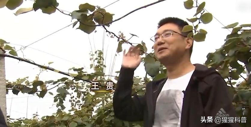 那些奇葩挣钱的项目,盘点奇葩副业