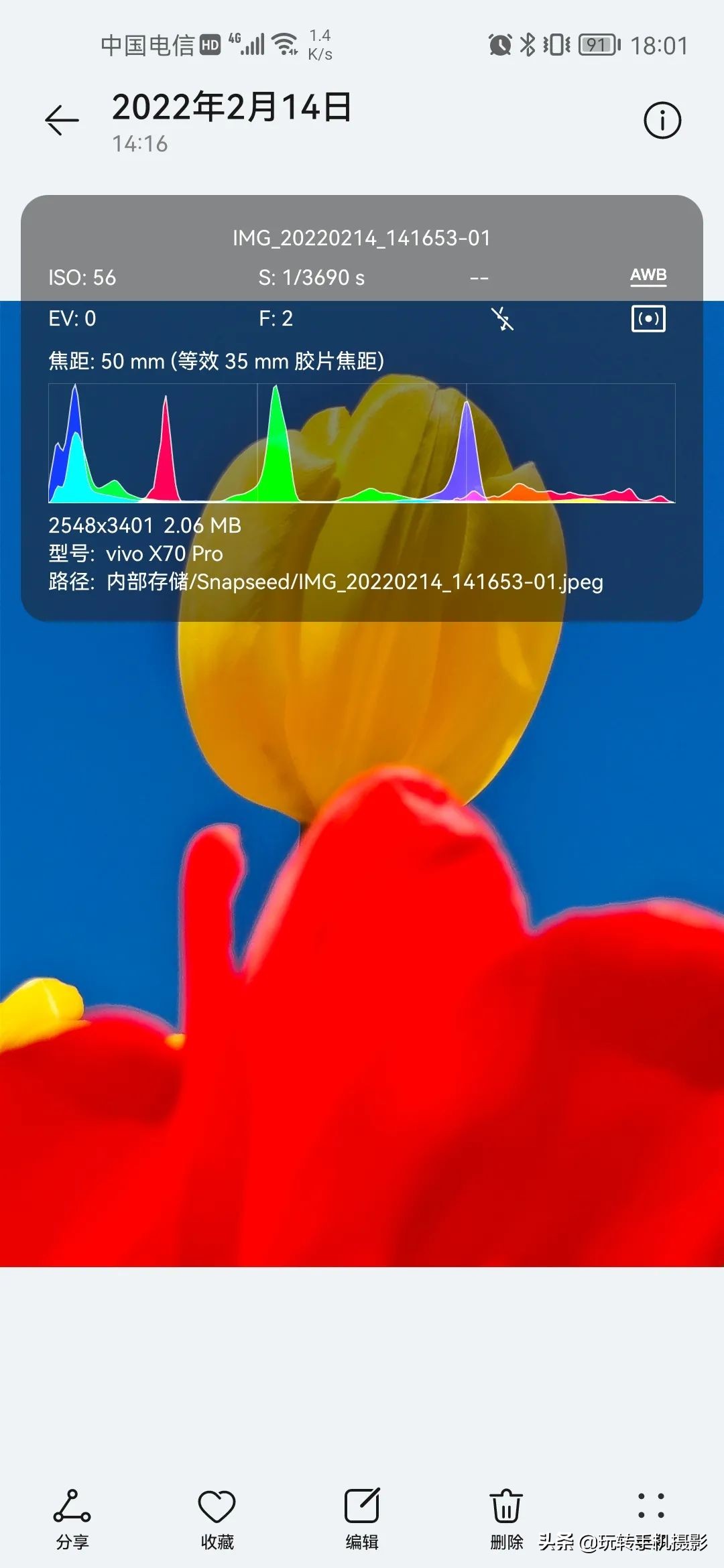 用什么可以拍出美丽花草的照片,6个技巧拍好花卉照片