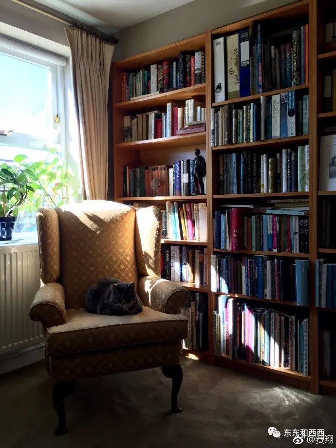 曾火遍中国的混血儿又回来了，浓颜系第一帅哥这些年都去哪儿了？