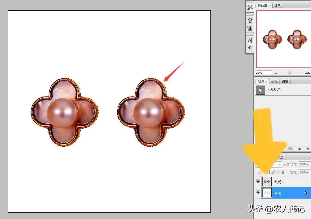 ps白底图怎么调整大小快捷键,ps中如何快速给复杂图片换底色
