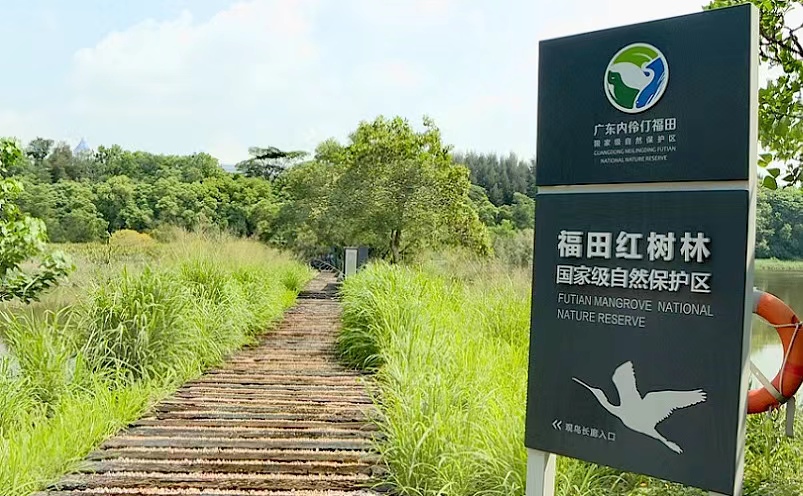 深圳必去的地方十大景点推荐理由,深圳游玩攻略必去十大景点有哪些