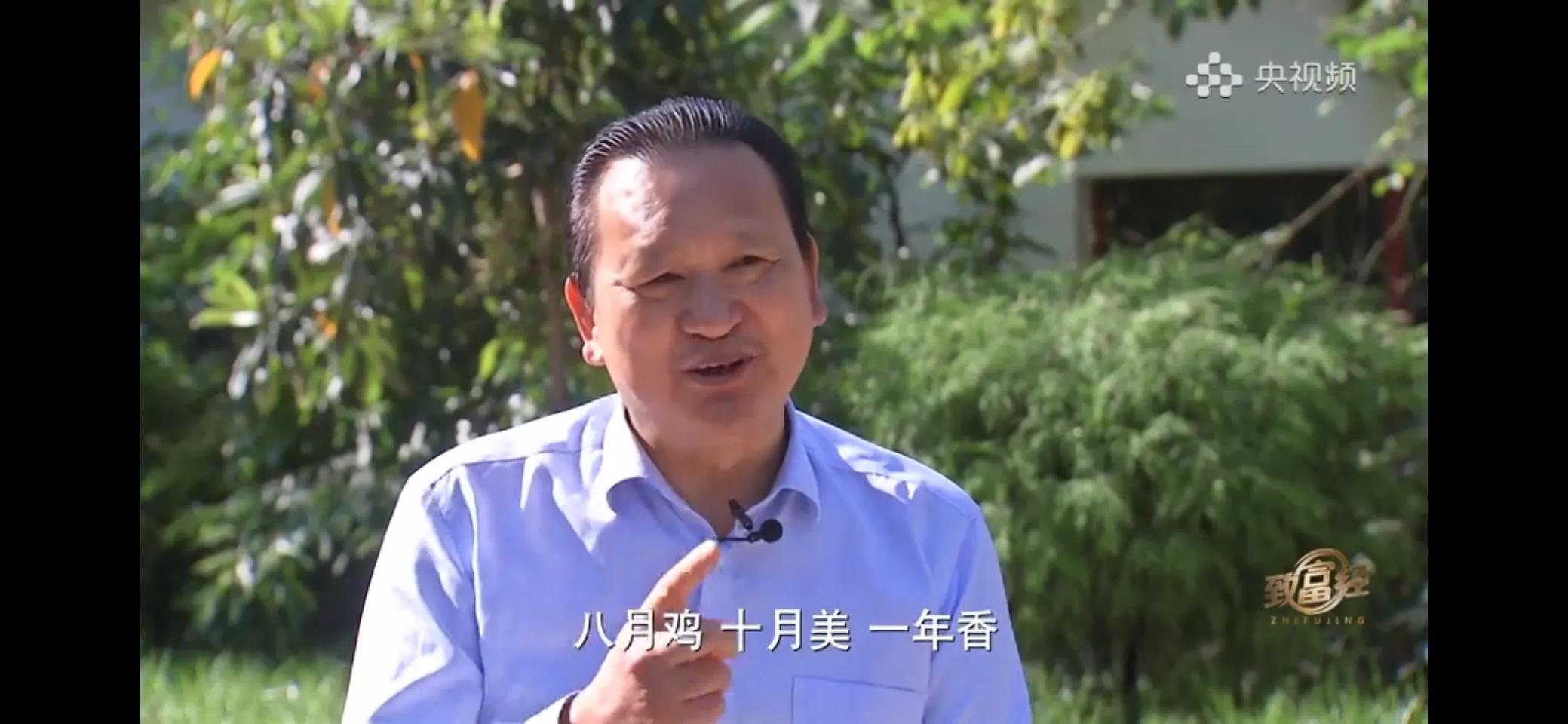 10万多只鸡养鸡场一年能挣多少,回村搞农业养殖一只鸡卖一万