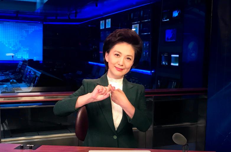 国脸女主持人海霞,央视美女主播海霞图片