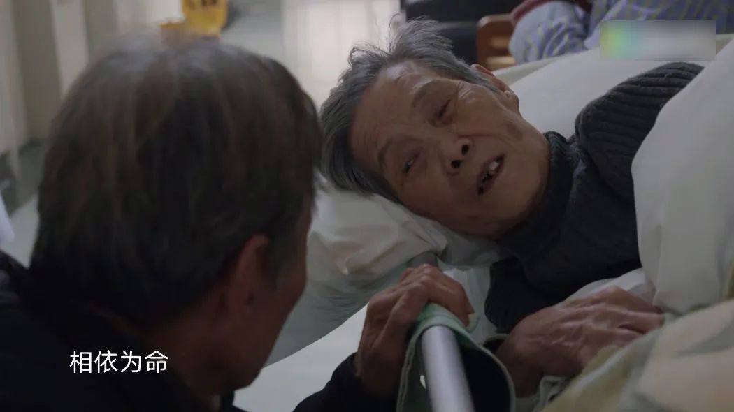 医院里的故事有哪些,医院里面有什么故事