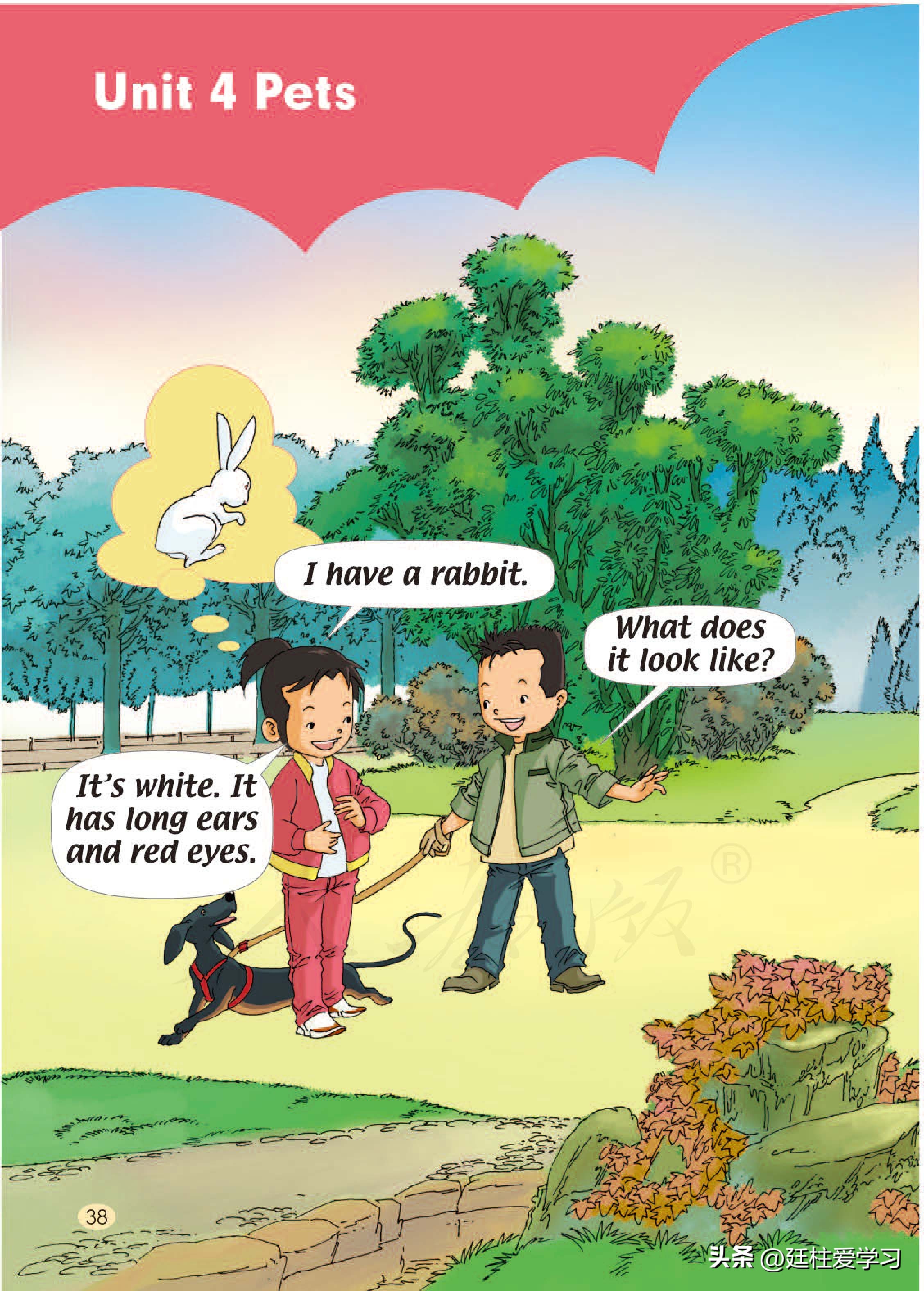 小学英语外研版三年级上册,小学英语精通版三年级上册