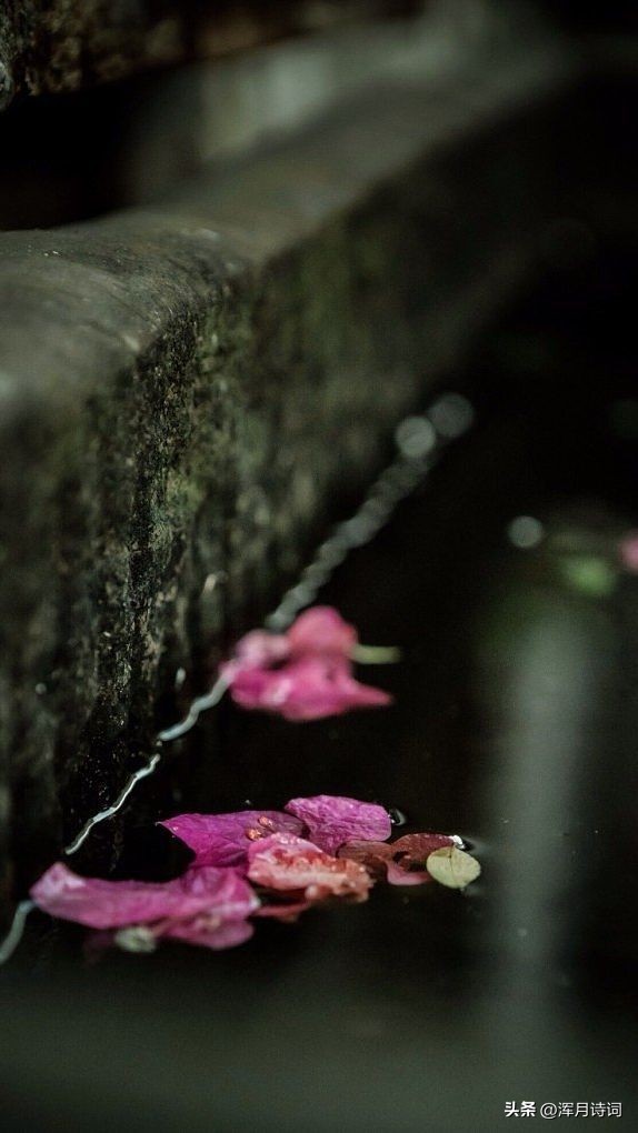 二十首关于风的诗句,二十句关于风的诗句