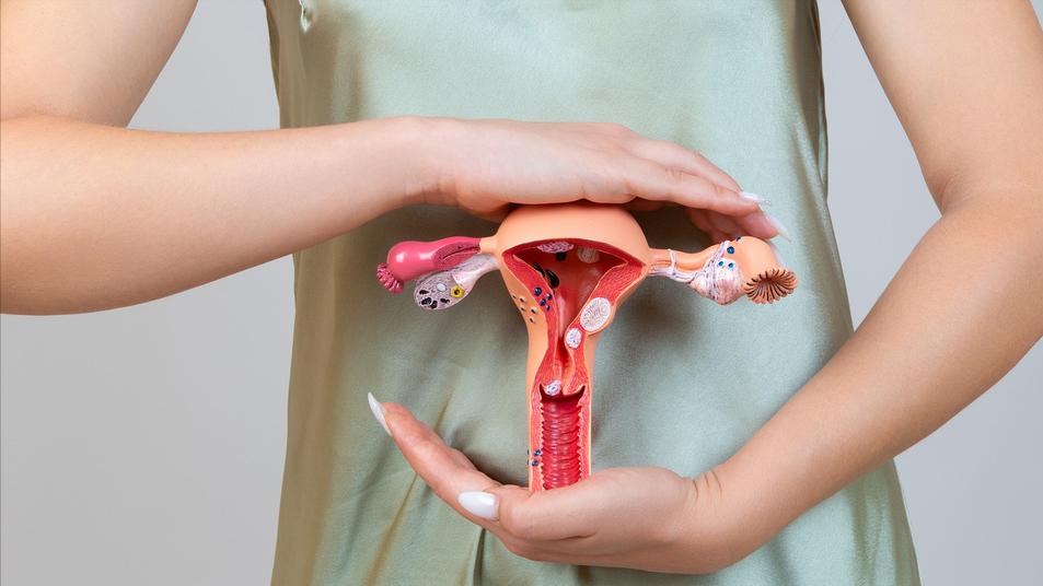 派特灵治疗hpv骗局是真的吗,派特生物能治疣吗