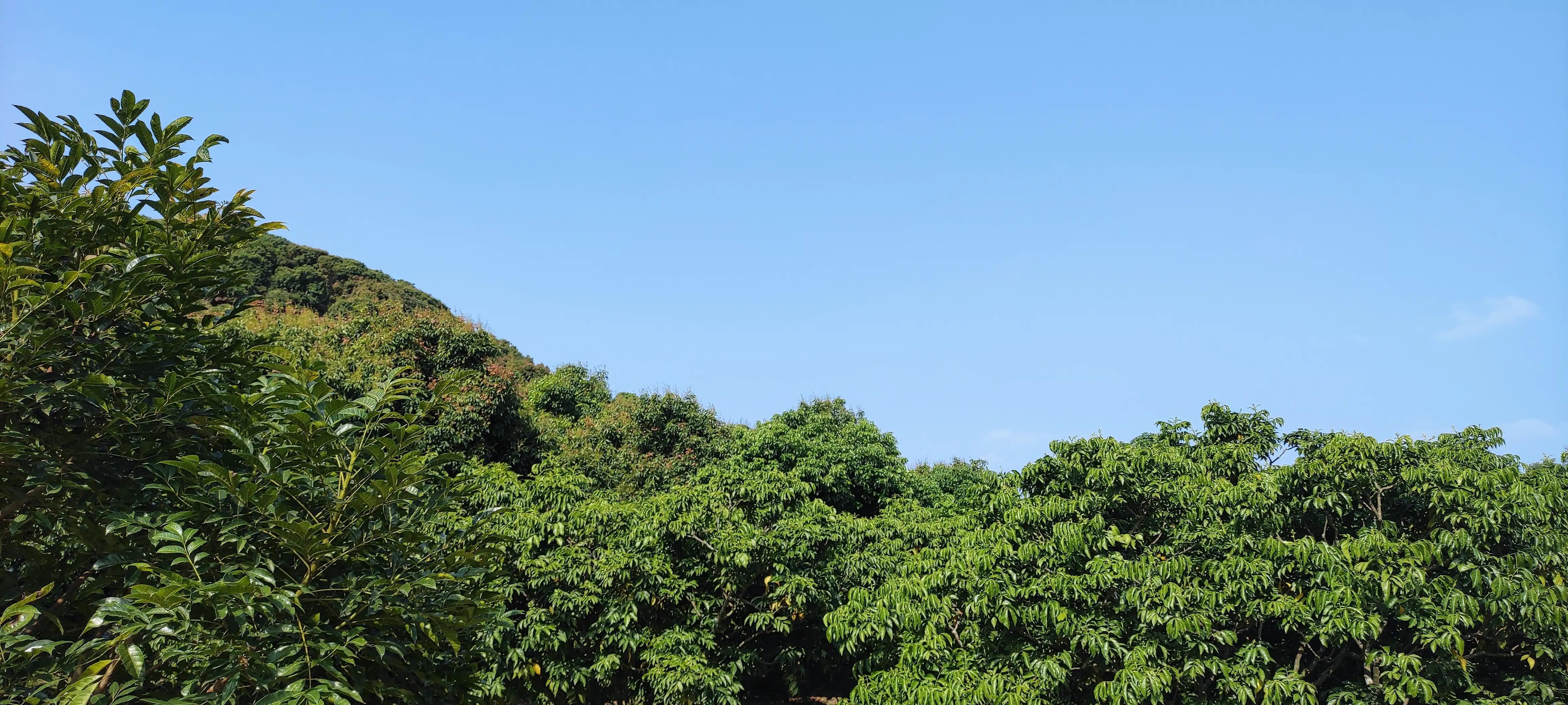广州从化后花园,从化是广州的后花园吗