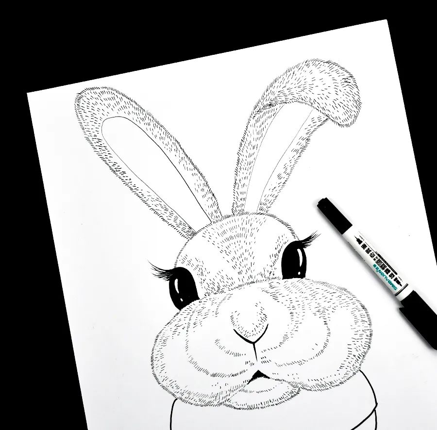 儿童画卡通小动物的步骤,儿童画创意兔子教案