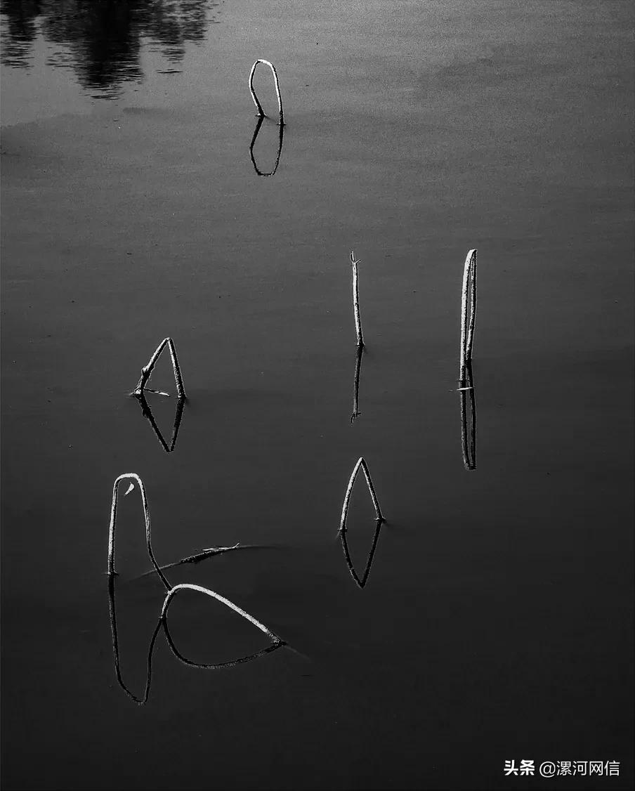 漯河市近几年的书画展,漯河市书画展开幕式