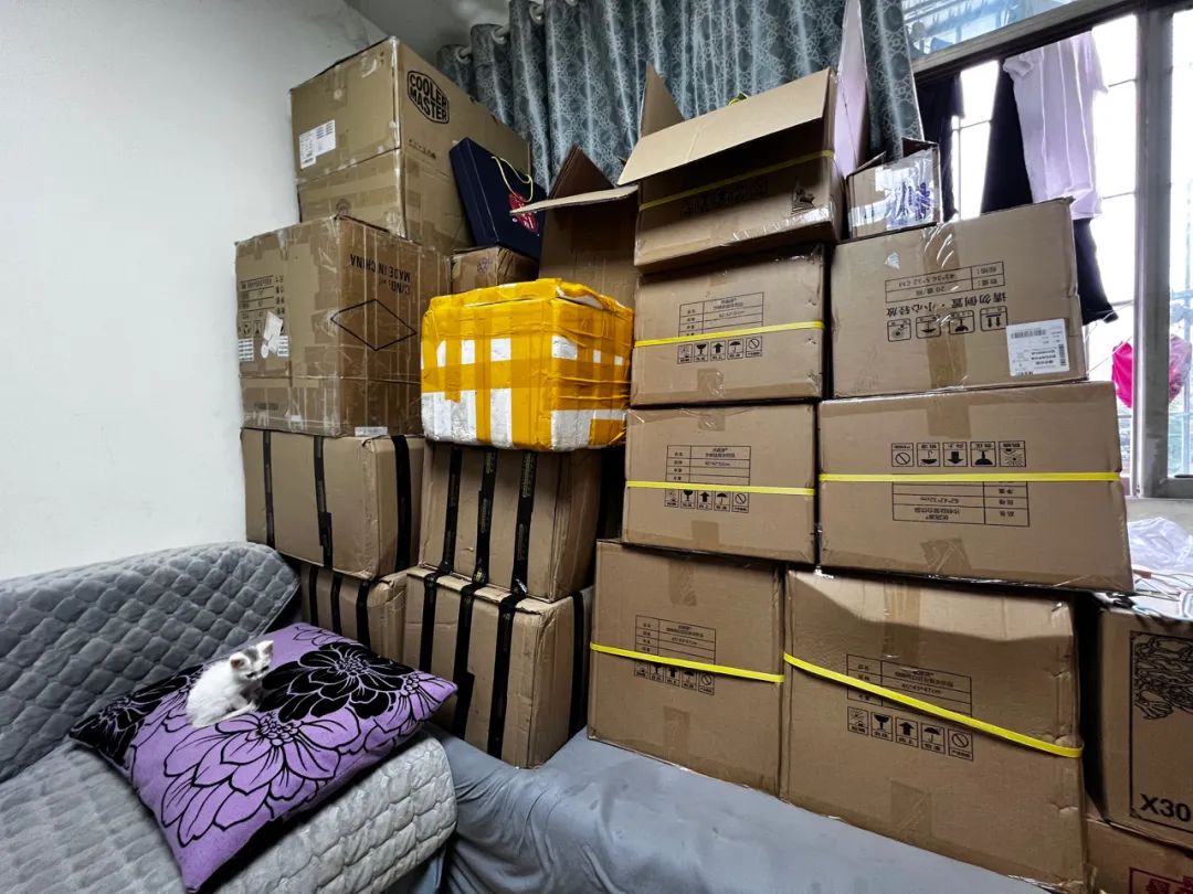 职业打假人年入百万判多少年,职业打假官打假官司怎么打