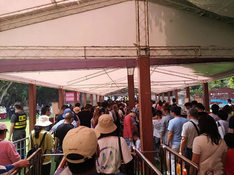 十一长假早已不像你想象中的图片,十一长假壮观景象