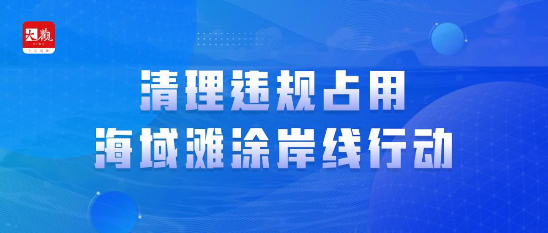 专项整治工作专班职责,成立专项整治行动领导小组