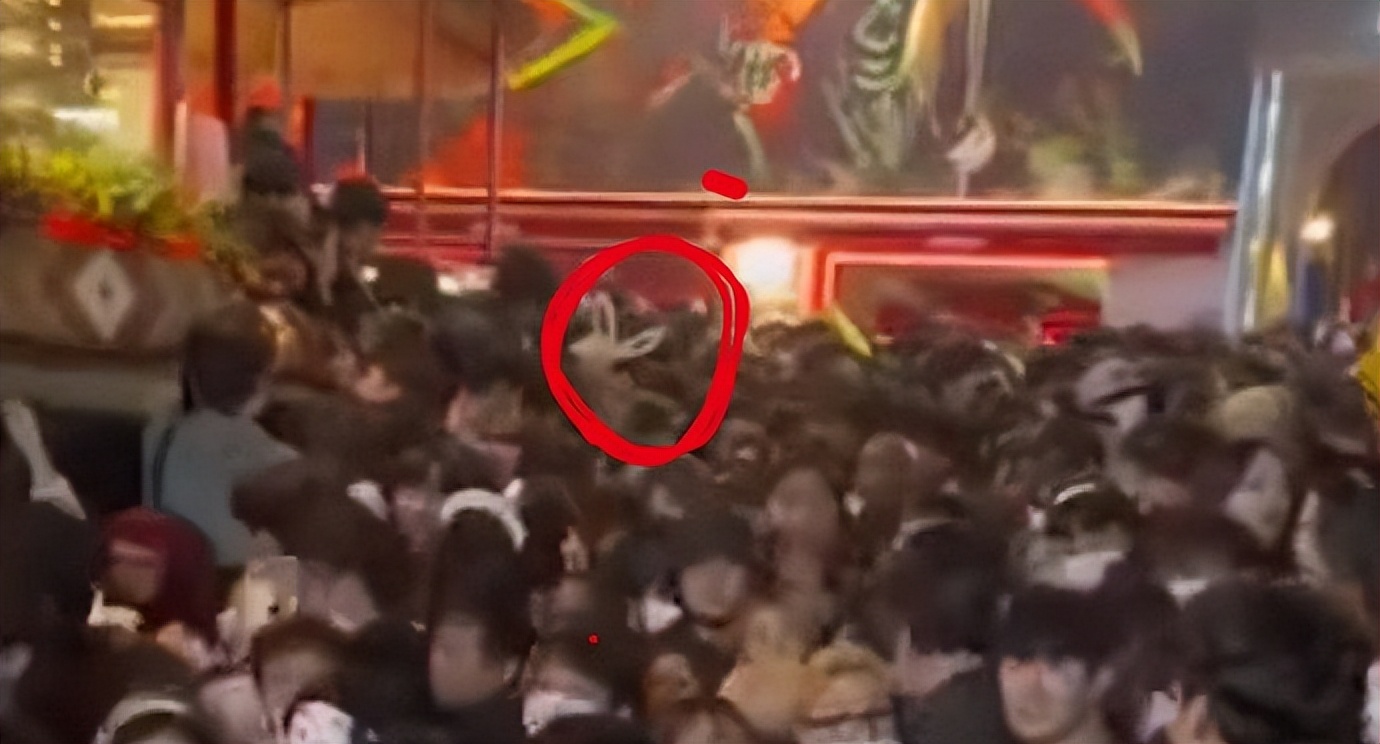 人间地狱梨泰院,万圣节前夜到底发生了什么?