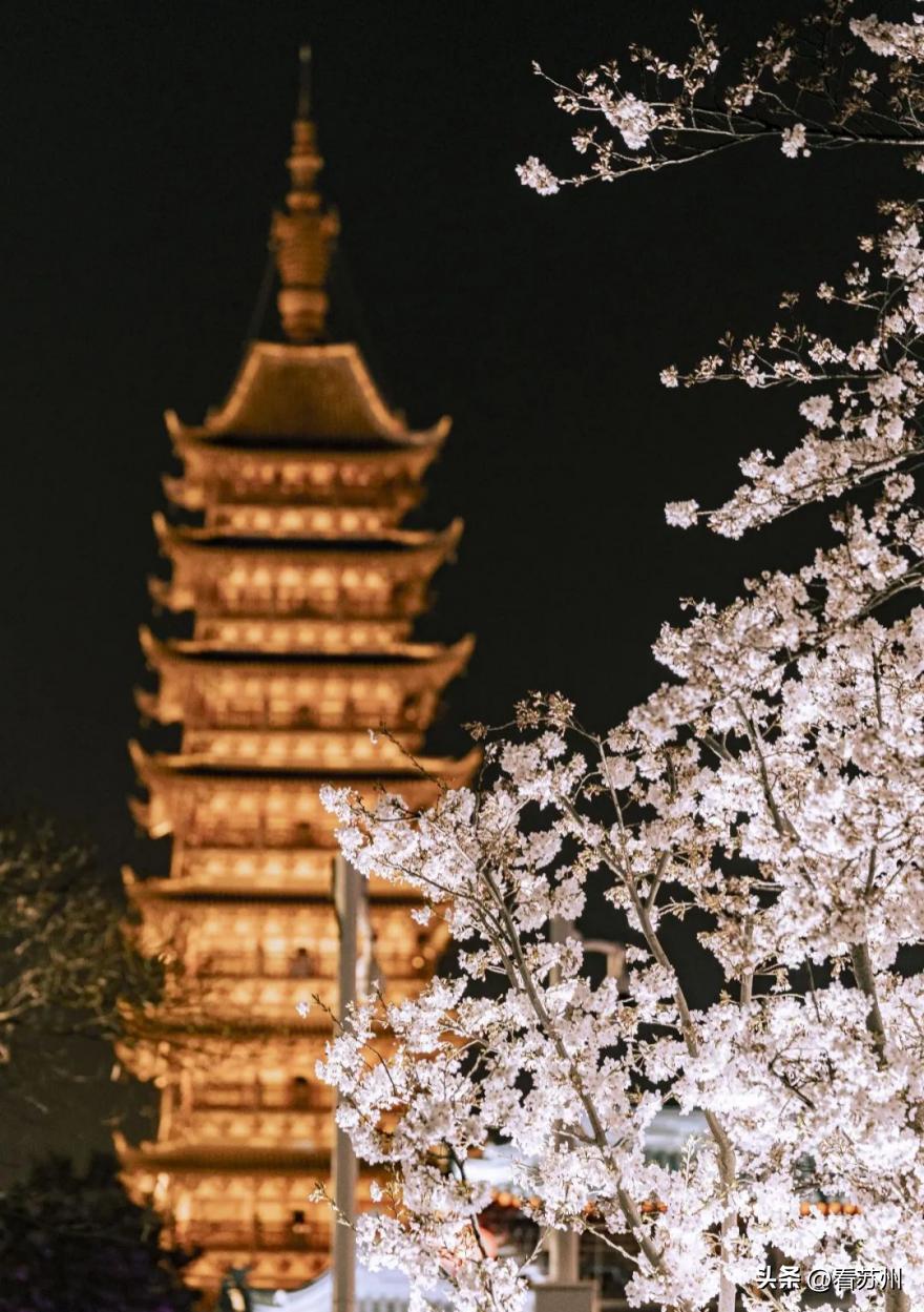 苏州有哪些著名的美食,苏州最出名的地方特色美食是什么