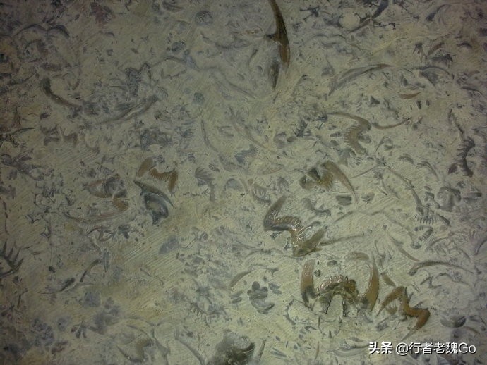 武当山南岩玄武石碑之谜,武当山之谜完整版