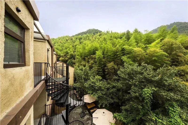 莫干山藏在山里的民宿,莫干山风景名胜区美景民宿