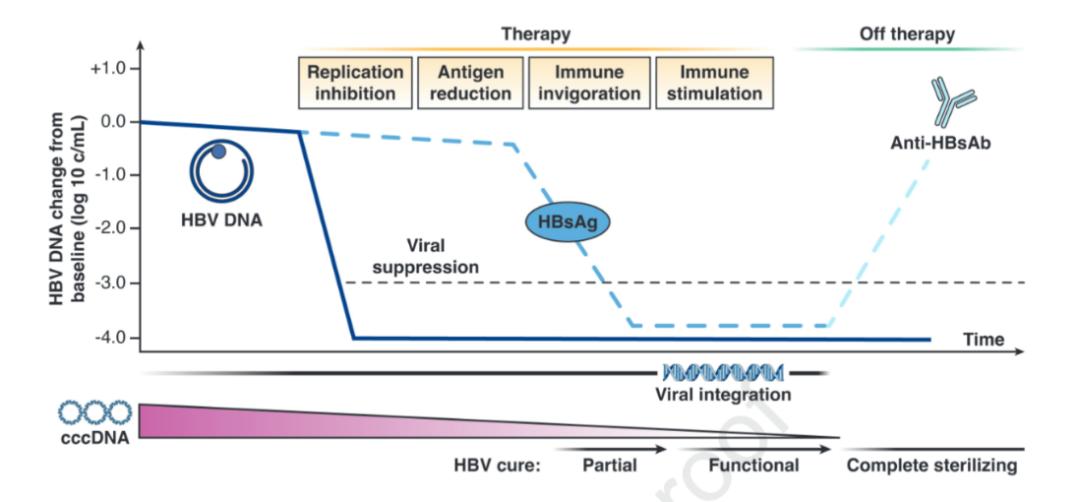 如何定义慢性乙肝的治愈？读菲尔德·乔丹博士等观点文章有感