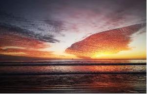 疫情期的间隔年:985毕业,我在澳洲做按摩师2年攒60万