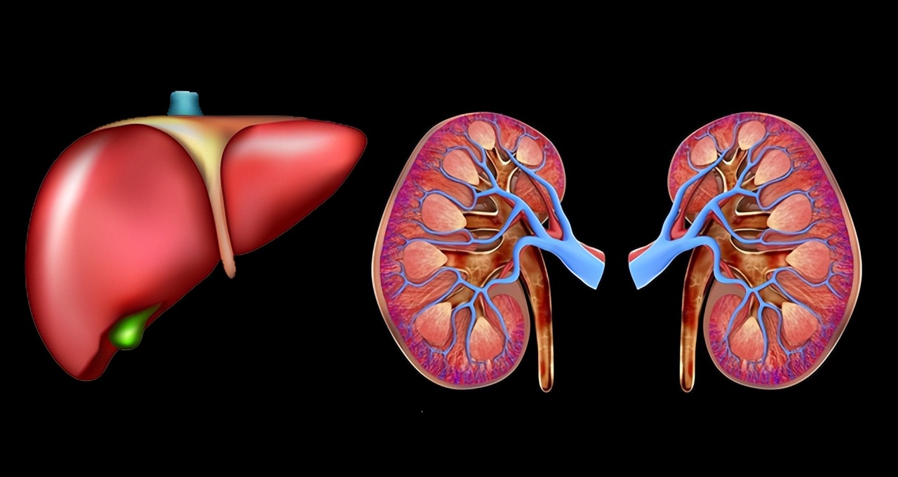 59岁老中医养肝护肝汤,老中医养肝护肝运动健身操