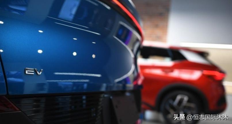 新西兰年度最佳电动汽车,中国汽车新西兰