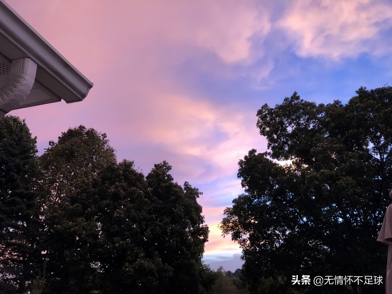 美国纽约东部游介绍,美国东部旅游感受