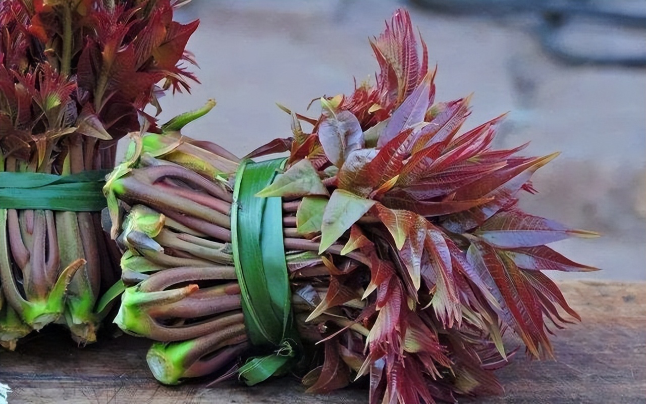 为啥癌症越来越多？建议：7种“自带毒素”的野菜，能别吃就别吃