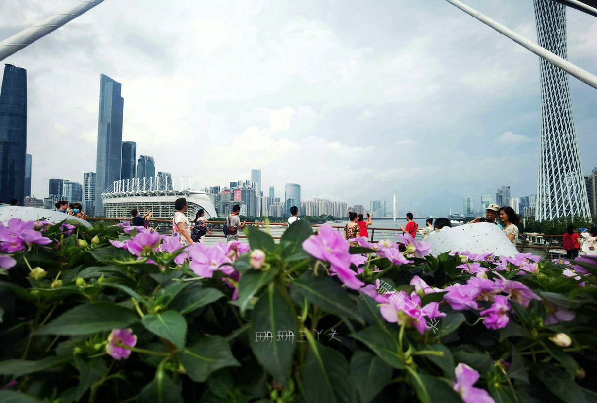 广州旅行攻略路线推荐,广州旅游攻略必去的5个地方