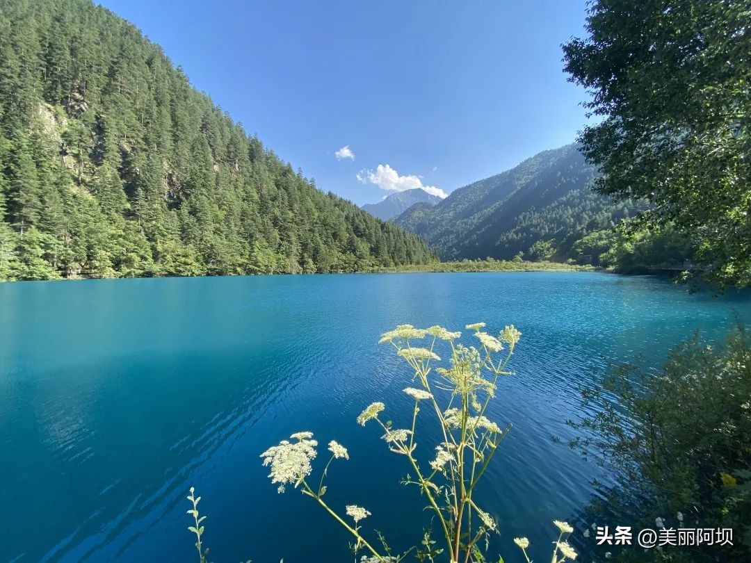 挥别八月夏末，在九寨沟绚烂初秋邂逅