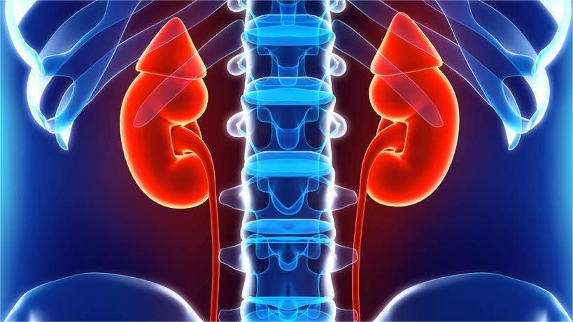 小孩子得了肾炎的症状,孩子肾炎的三大早期症状