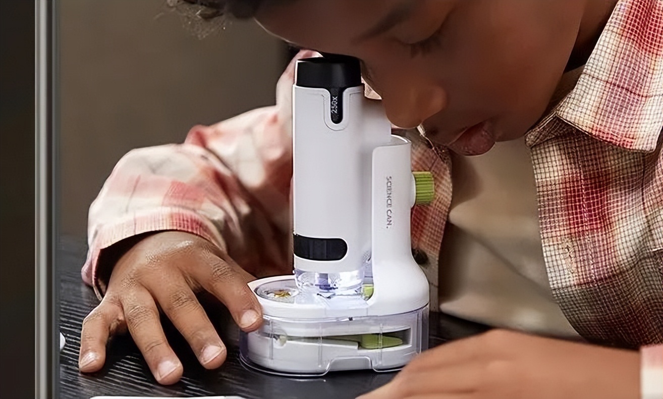 儿童探索放大镜多少倍合适,家长应不应该给孩子买显微镜