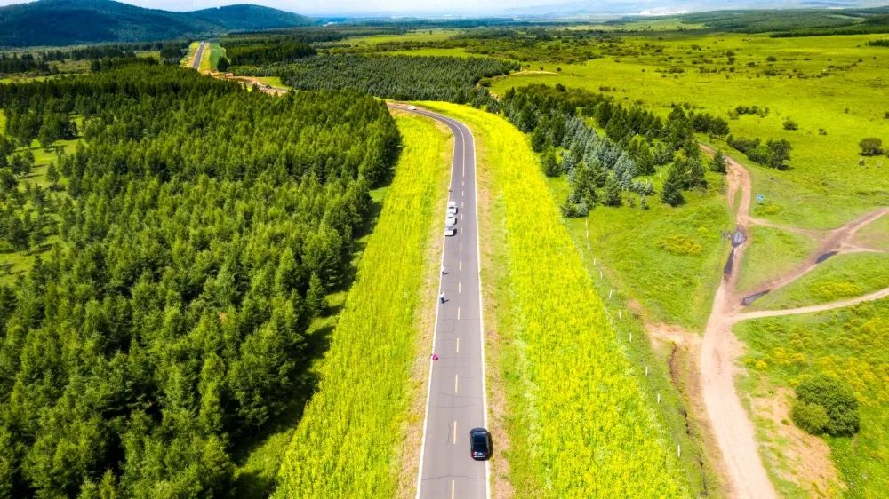 有趣的灵魂：你知道春天的花儿到底为谁开放吗？