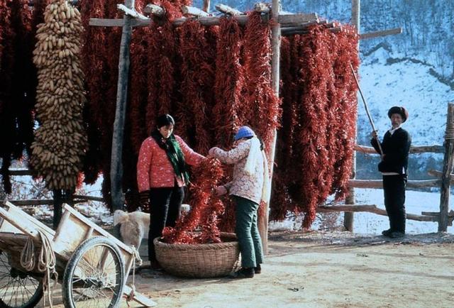 《秋菊打官司》：村长踢了男人的命根，妻子秋菊一级级上告