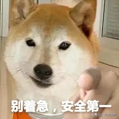 手机扫别人二维码付款安全吗,手机扫码和付款转账的区别