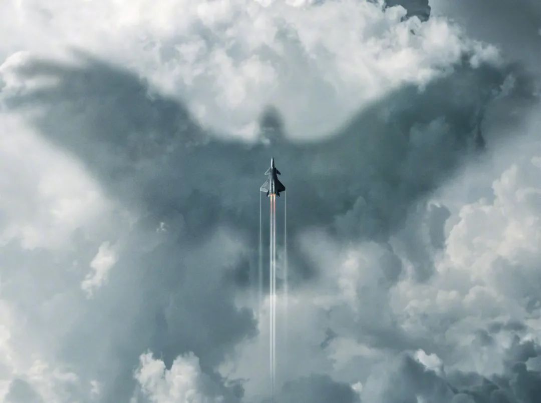 长空之王讲述,长空之王内容简介概括500字左右