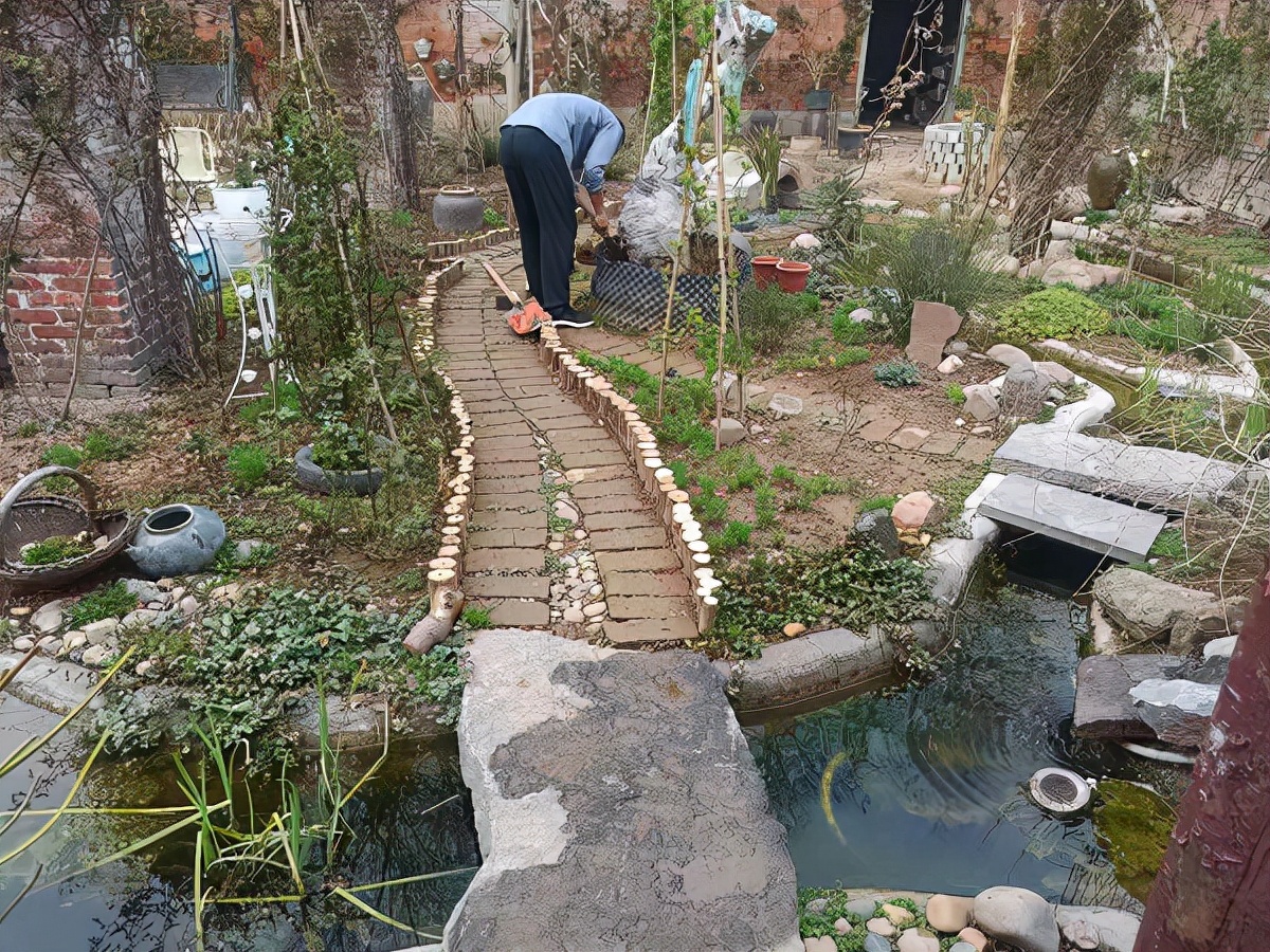 远方小院完整版,远方小院农家乐