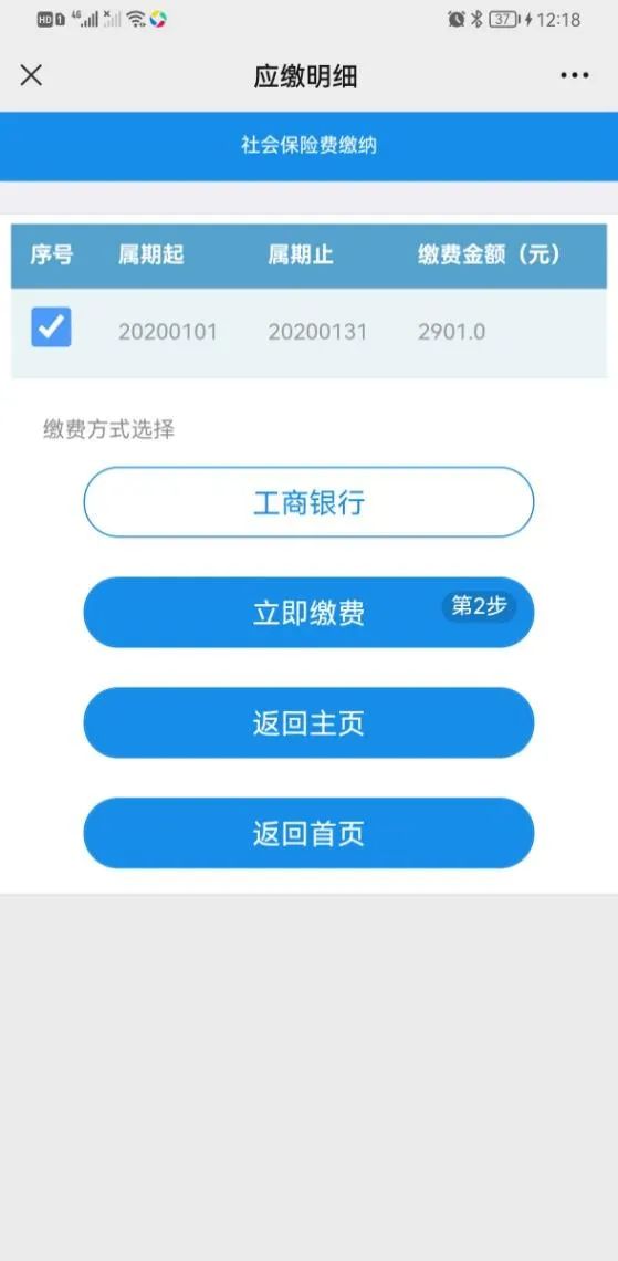 个人缴纳社会保险怎么交,个人缴纳保险流程