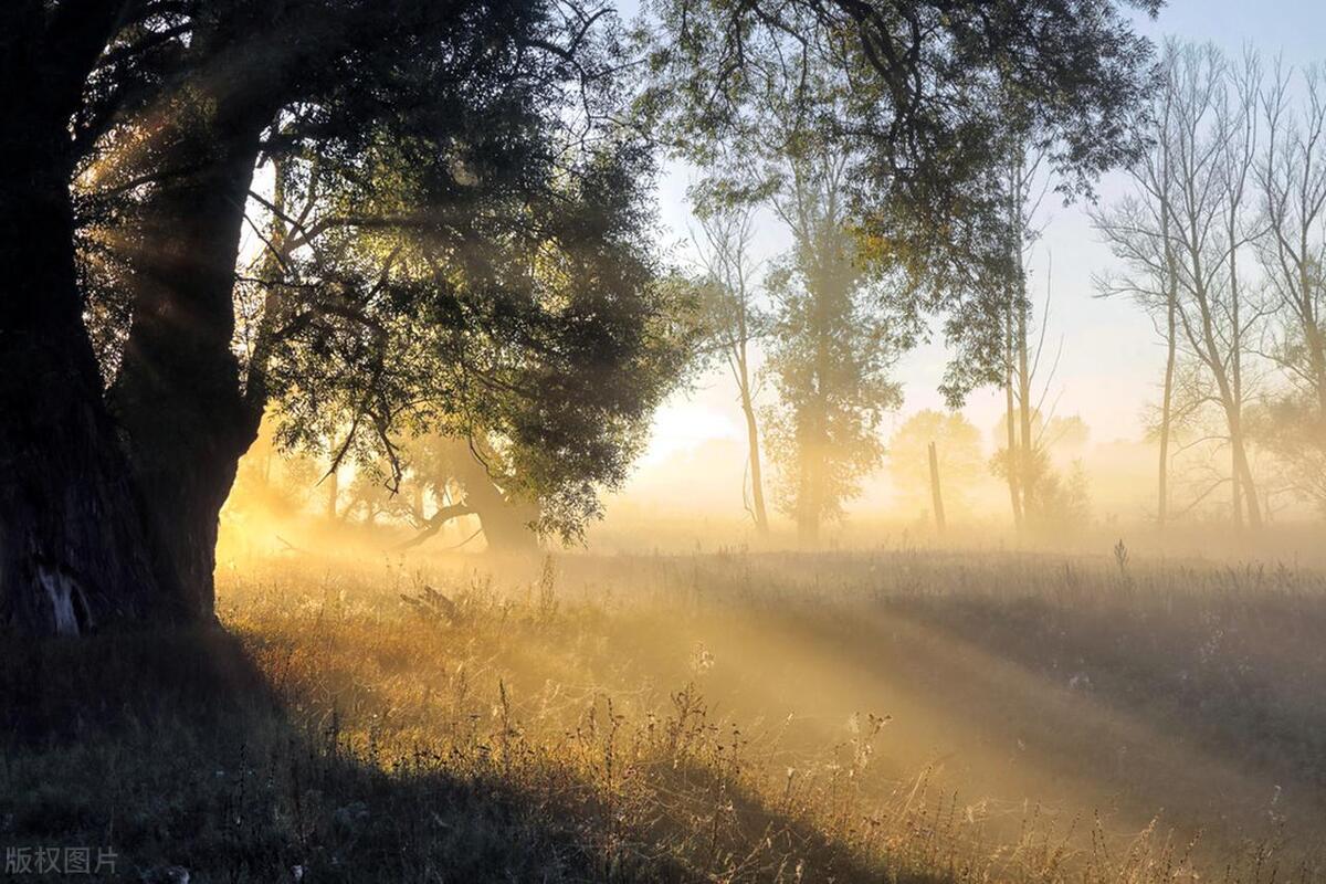 怎么去除带雾气的照片,怎么消除照片上的白雾