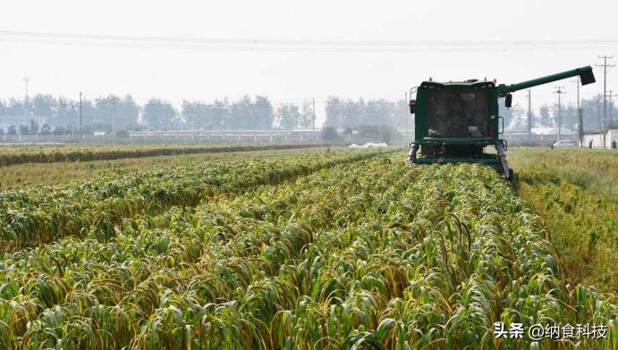 小品牌做不大,小品牌经销商怎么发展