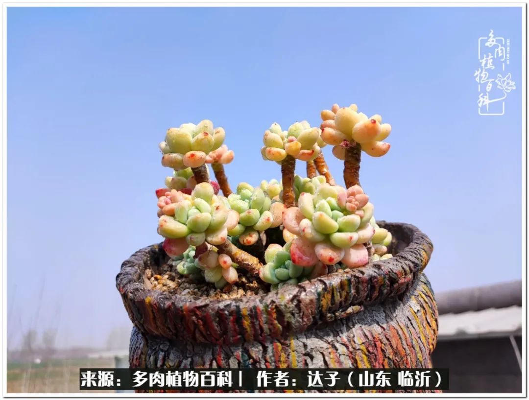 活在当下珍惜眼前平凡的生活,活在当下感慨万千