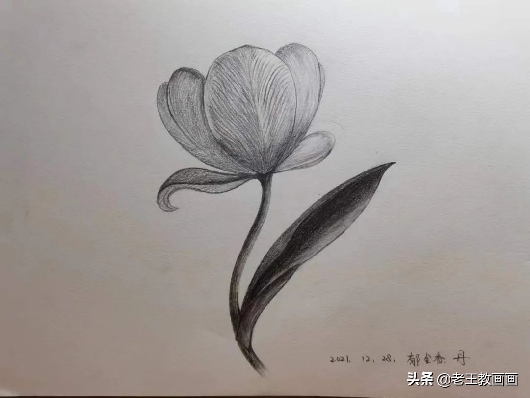 画画教程7-12岁画动漫人物新手,学画画三岁