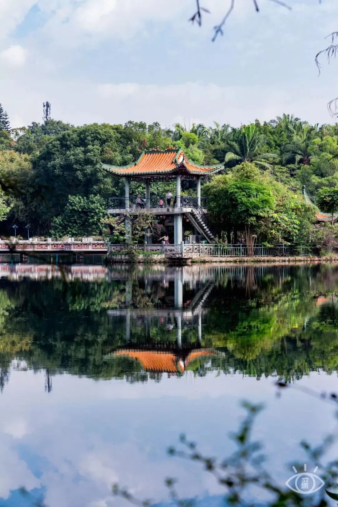 龙岗最值得去看的地方,龙岗10个必去的地方