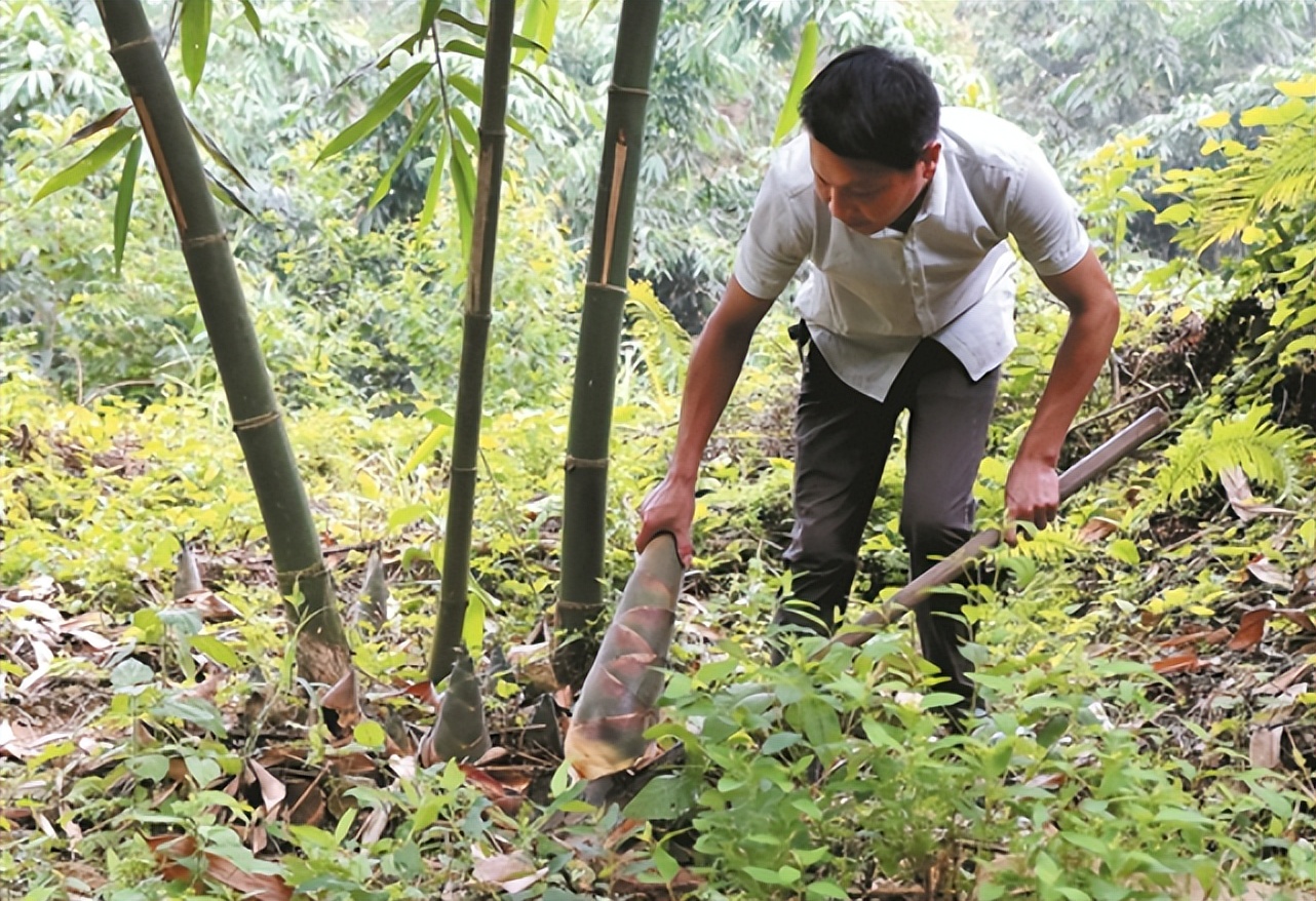 鏉戞皯鎶婄唺褰撶嫍鍏讳簡涓夊勾,琚潙姘戞敹鍏荤殑鐔婂唇