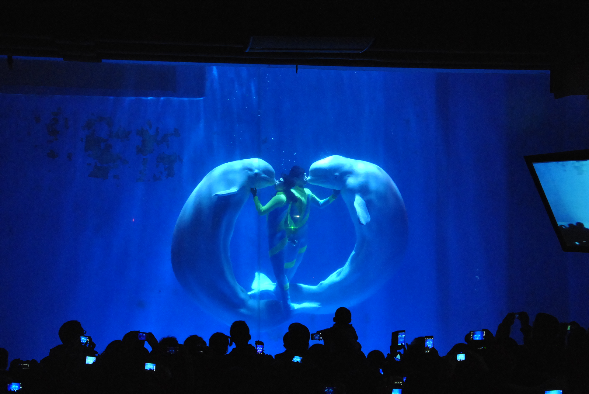 五一哈尔滨户外游玩,五一哈尔滨市旅游攻略