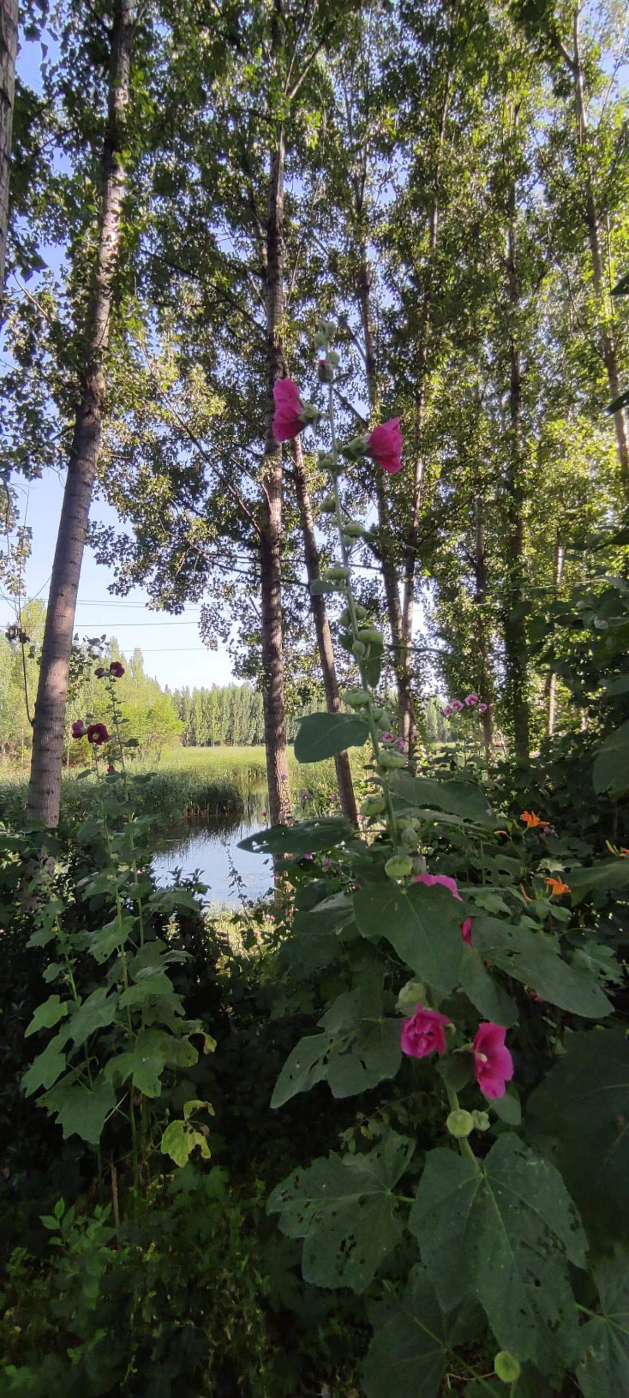 古中国考出彭蠡泽｜张笔魁