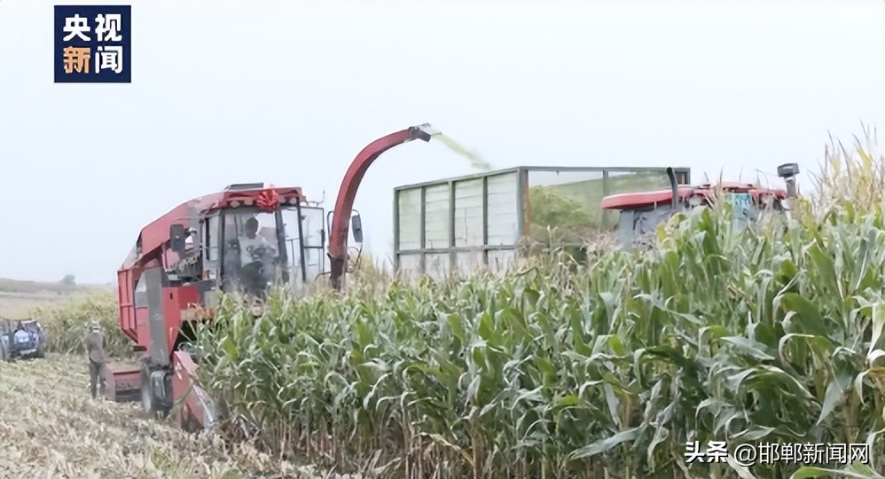 邯郸警方发布最新通告视频,河北邯郸公安发布紧急通告