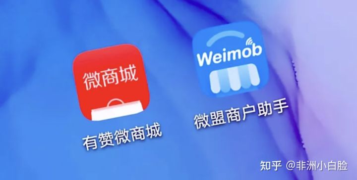 微盟和有赞哪个销售好,微盟和有赞哪个口碑好